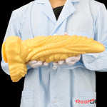 14.56in Gold Liquid Large Soft Long Fantasy Silicone Male Female Dildo - Real Dildo