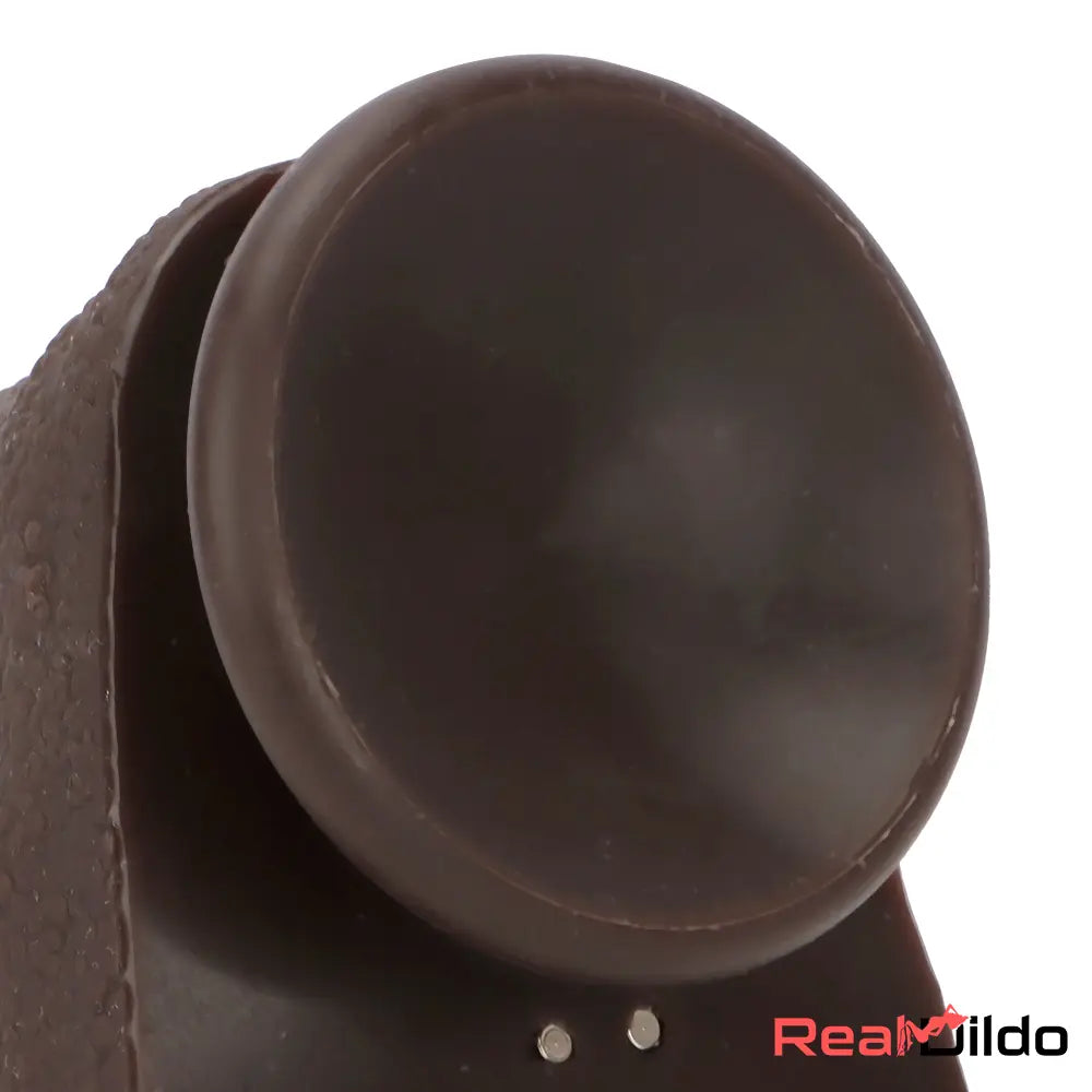 9.05in 4in1 Heating Thrusting Vibrating Rotation Remote Horse Discreet Dildo Real Dildo